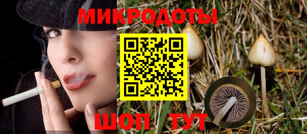 Псилоцибиновые грибы мицелий Гусь-Хрустальный