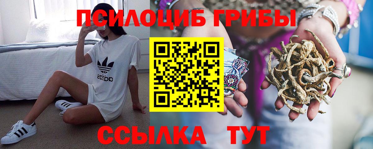Псилоцибиновые грибы MAGIC MUSHROOMS  Вход с VPN  что такое наркотик  Гусь-Хрустальный 